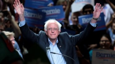 bernie