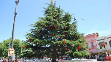 christmas