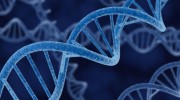elica_dna